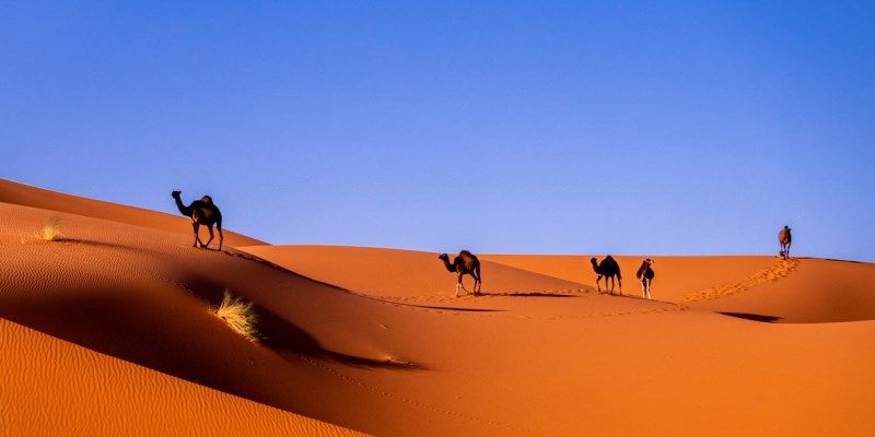 Viaggi_Organizzati_Tunisia